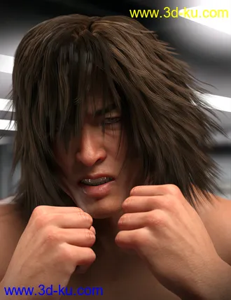 3D打印模型dForce Kiru Hair for Genesis 3, 8, and 8.1的图片