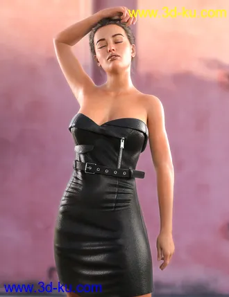 3D打印模型dforce Leather Style Outfit For Genesis 8 and 8.1 Females的图片