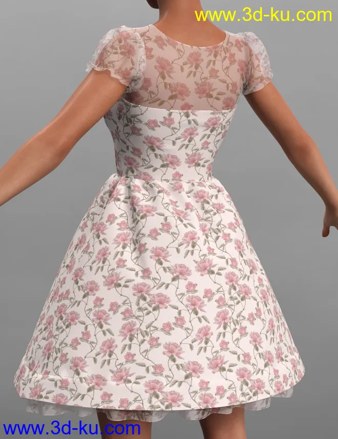 dForce Malka Dress for Genesis 8 and 8.1 Females模型的图片10