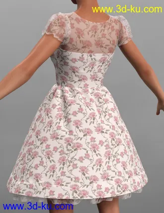 3D打印模型dForce Malka Dress for Genesis 8 and 8.1 Females的图片