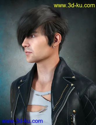 3D打印模型dForce Nash Hair for Genesis 8的图片