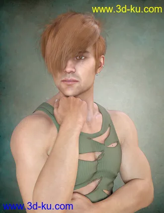 3D打印模型dForce Nash Hair for Genesis 8的图片