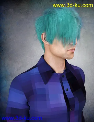 3D打印模型dForce Nash Hair for Genesis 8的图片