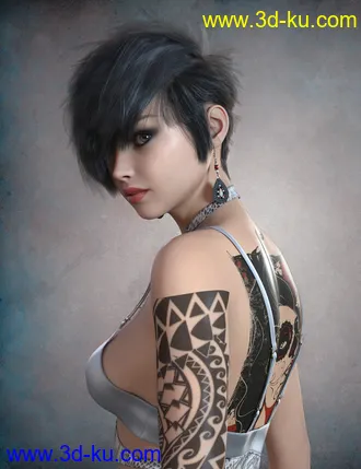 3D打印模型dForce Nash Hair for Genesis 8的图片