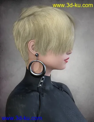 3D打印模型dForce Nash Hair for Genesis 8的图片