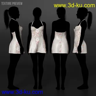 3D打印模型dForce Natalia's Nightie Bold Moves的图片