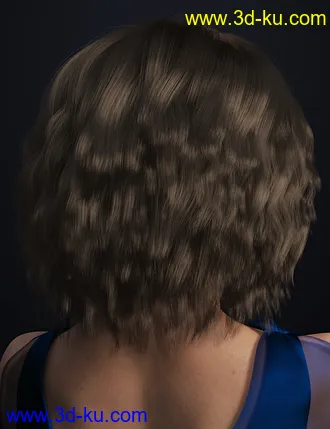 3D打印模型dForce Paulinha Hair for Genesis 8 Female(s)的图片