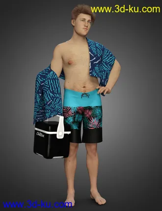 3D打印模型dForce Swim Gear for Genesis 8.1 Males的图片