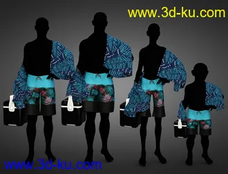 3D打印模型dForce Swim Gear for Genesis 8.1 Males的图片