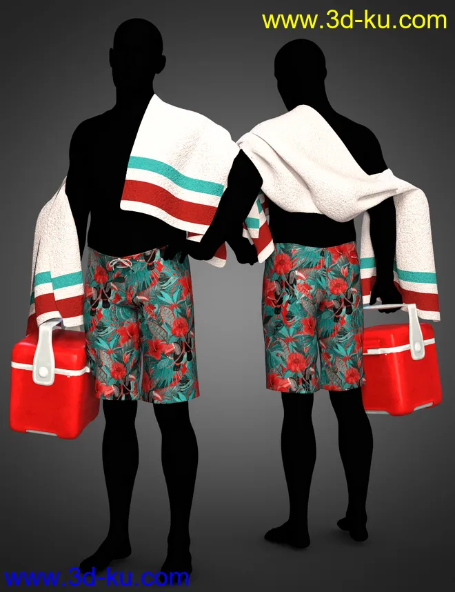 dForce Swim Gear for Genesis 8.1 Males模型的图片6