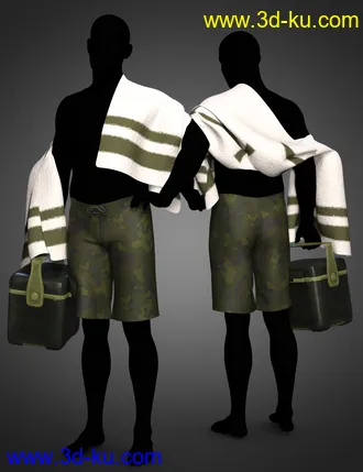 3D打印模型dForce Swim Gear for Genesis 8.1 Males的图片