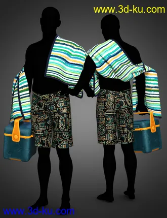 3D打印模型dForce Swim Gear for Genesis 8.1 Males的图片