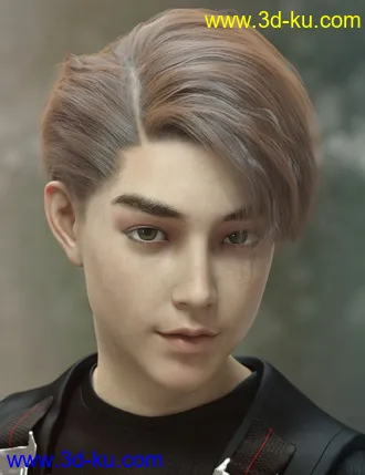 3D打印模型dForce Yunbae Hair for Genesis 8 and 8.1的图片