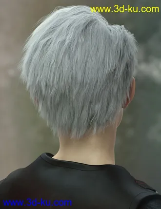 3D打印模型dForce Yunbae Hair for Genesis 8 and 8.1的图片