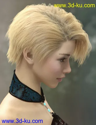 3D打印模型dForce Yunbae Hair for Genesis 8 and 8.1的图片