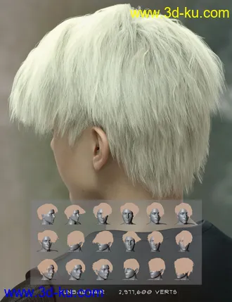 3D打印模型dForce Yunbae Hair for Genesis 8 and 8.1的图片