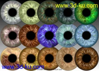 3D打印模型DG Iray 200 Iris Colors for Genesis 8 and Merchant Resource的图片