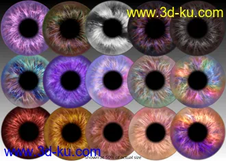3D打印模型DG Iray 200 Iris Colors for Genesis 8 and Merchant Resource的图片