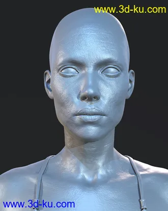 3D打印模型Dianna HD Add-On的图片