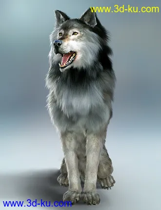 3D打印模型Dire Wolf Animations for Daz Dog 8 and Genesis 8的图片