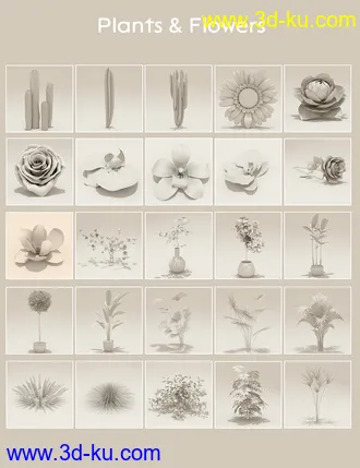 3D打印模型Elegant Display Props and Scenes的图片