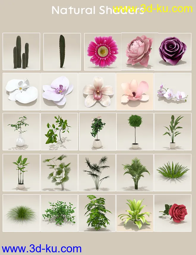 Elegant Display Props and Scenes模型的图片9
