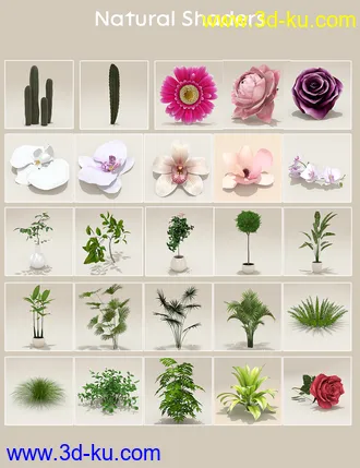 3D打印模型Elegant Display Props and Scenes的图片
