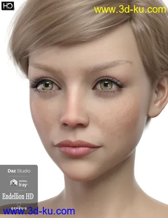 3D打印模型Endellion HD For Genesis 8 Female的图片