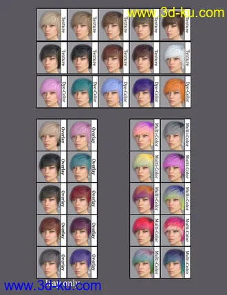 3D打印模型Exie Hair for Genesis 3 and 8 Female(s)的图片