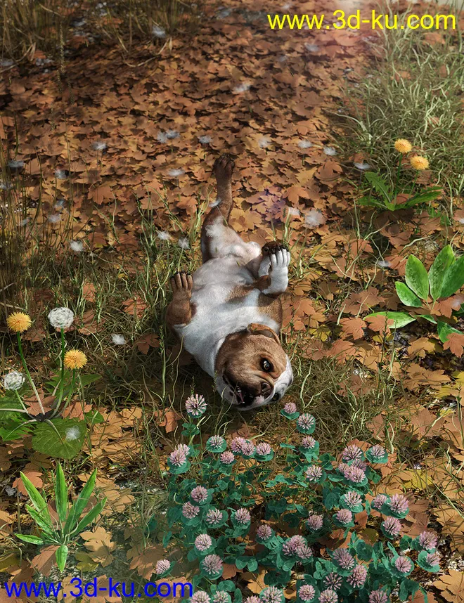 Fallen Leaves - Scatters and Drifts for Daz Studio模型的图片1