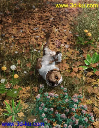 3D打印模型Fallen Leaves - Scatters and Drifts for Daz Studio的图片