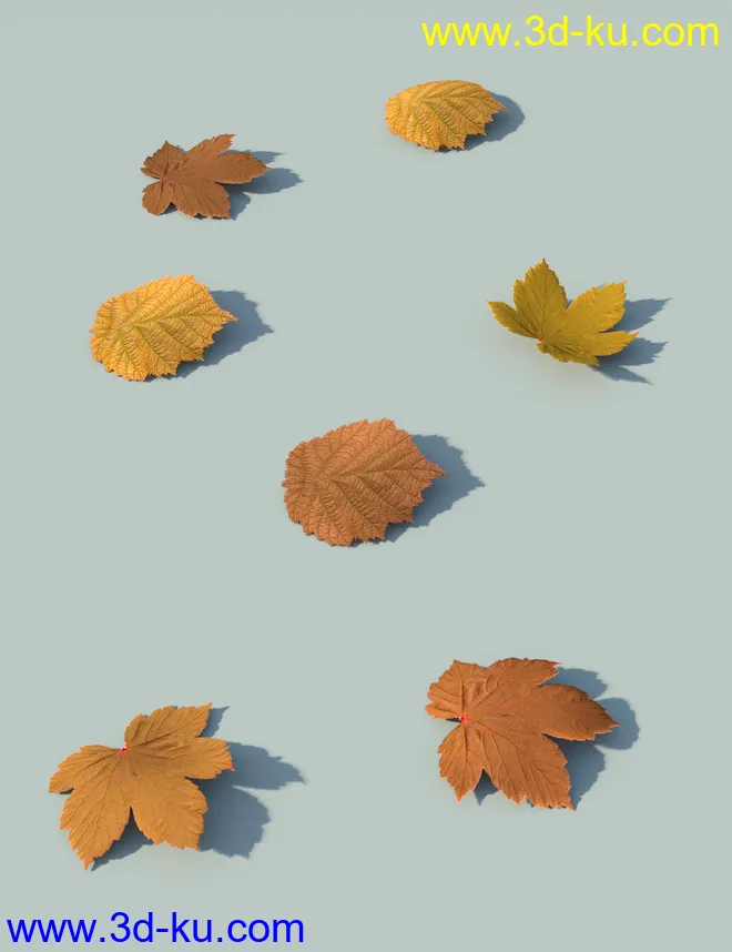 Fallen Leaves - Scatters and Drifts for Daz Studio模型的图片8