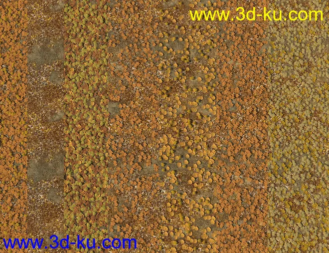 Fallen Leaves - Scatters and Drifts for Daz Studio模型的图片10