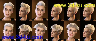 3D打印模型FE Short Hair Vol 4 for Genesis 8 and 8.1的图片