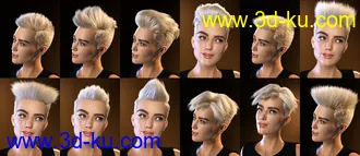 3D打印模型FE Short Hair Vol 4 for Genesis 8 and 8.1的图片