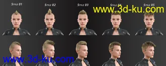 3D打印模型FE Short Hair Vol 4 for Genesis 8 and 8.1的图片