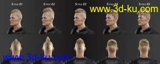 3D打印模型FE Short Hair Vol 4 for Genesis 8 and 8.1的图片