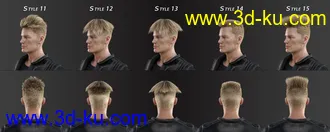3D打印模型FE Short Hair Vol 4 for Genesis 8 and 8.1的图片