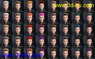 3D打印模型FE Short Hair Vol 4 for Genesis 8 and 8.1的图片