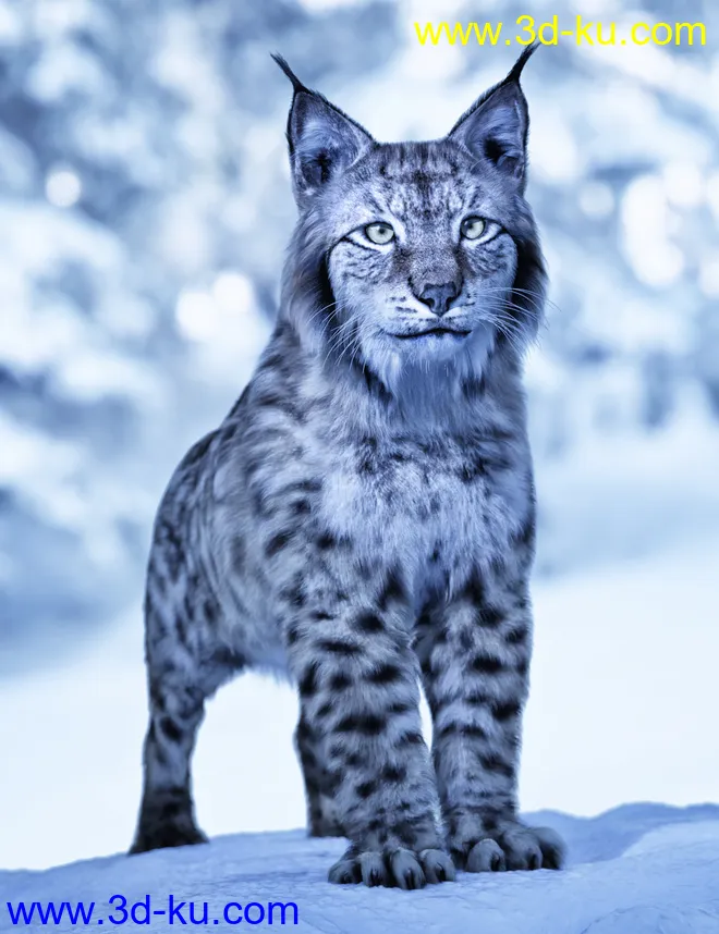 Felidae by AM - Lynx模型的图片1