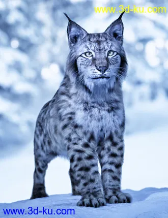 3D打印模型Felidae by AM - Lynx的图片