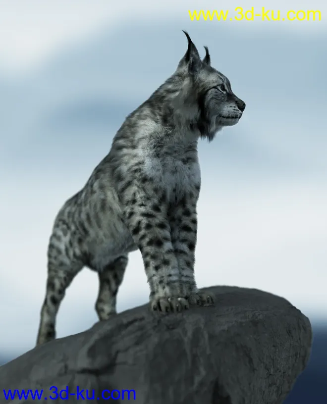 Felidae by AM - Lynx模型的图片3