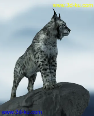 3D打印模型Felidae by AM - Lynx的图片