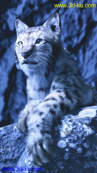 3D打印模型Felidae by AM - Lynx的图片