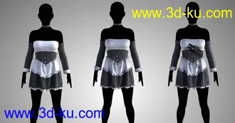 3D打印模型FG Maid Outfit for Genesis 8 Females的图片