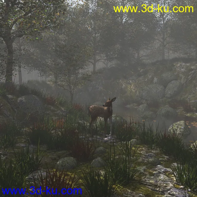 Foggy Forest 2模型的图片3