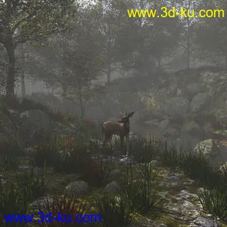 3D打印模型Foggy Forest 2的图片