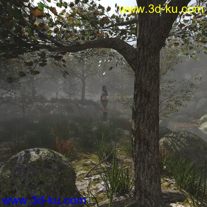 Foggy Forest 2模型的图片4