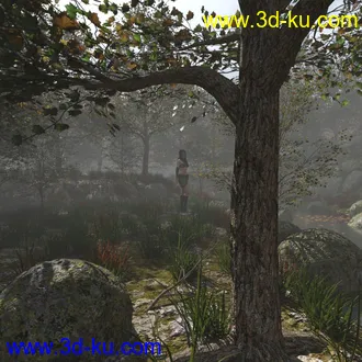 3D打印模型Foggy Forest 2的图片