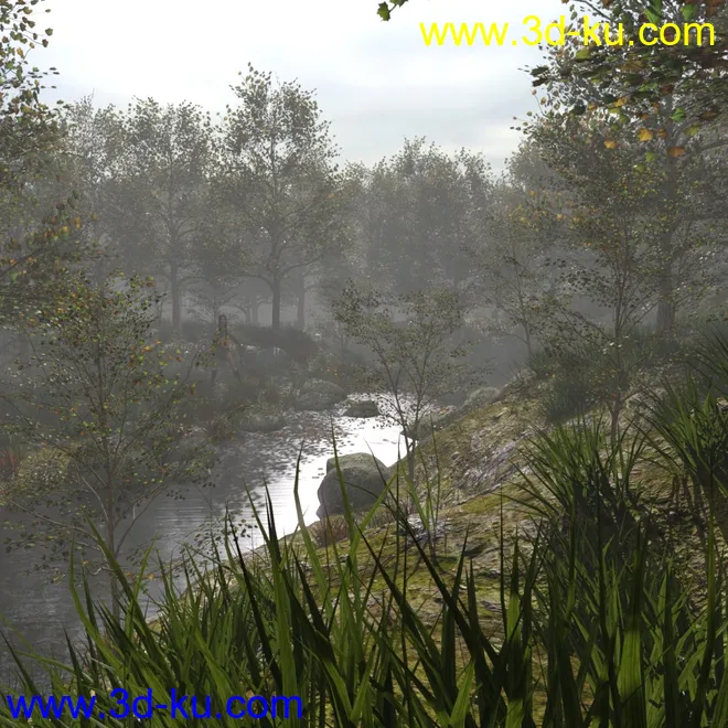 Foggy Forest 2模型的图片6